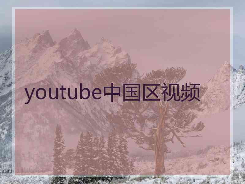 youtube中国区视频