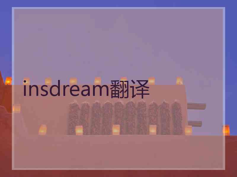 insdream翻译