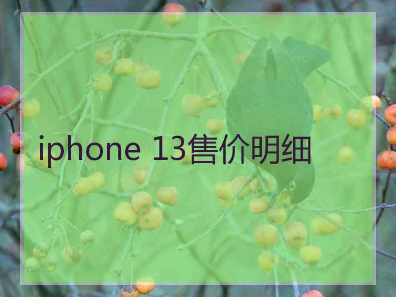 iphone 13售价明细