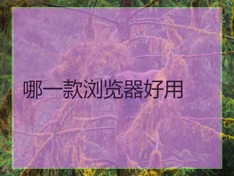 哪一款浏览器好用