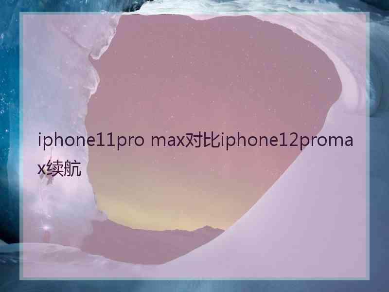 iphone11pro max对比iphone12promax续航