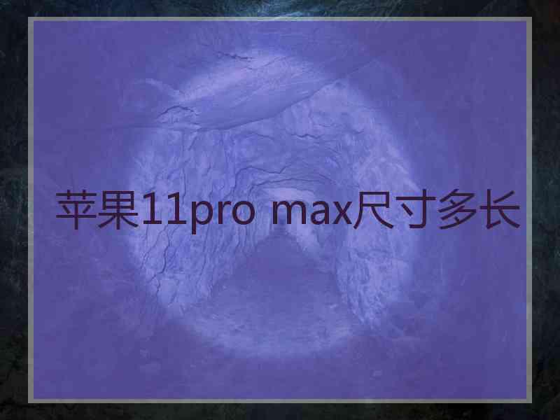 苹果11pro max尺寸多长