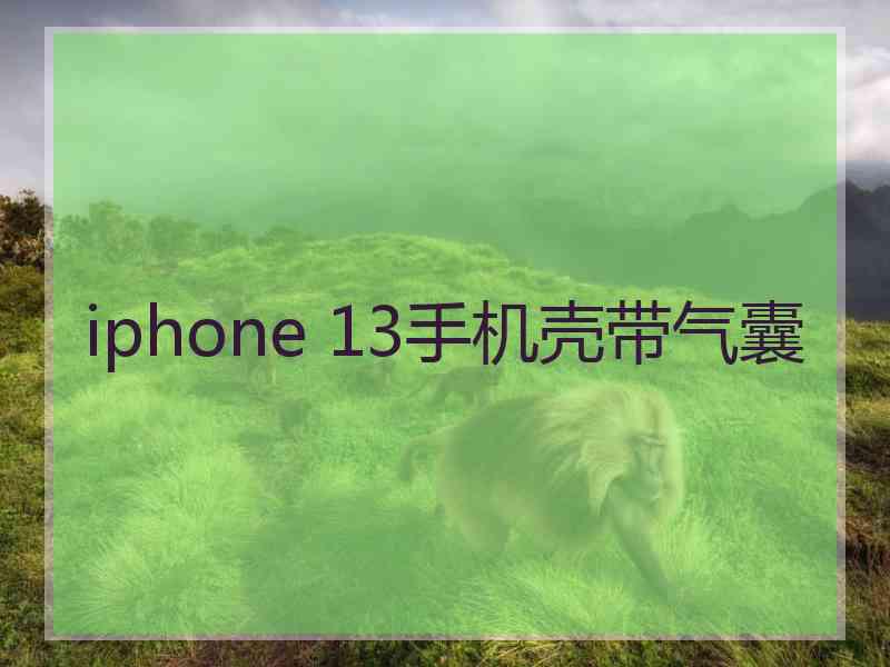 iphone 13手机壳带气囊