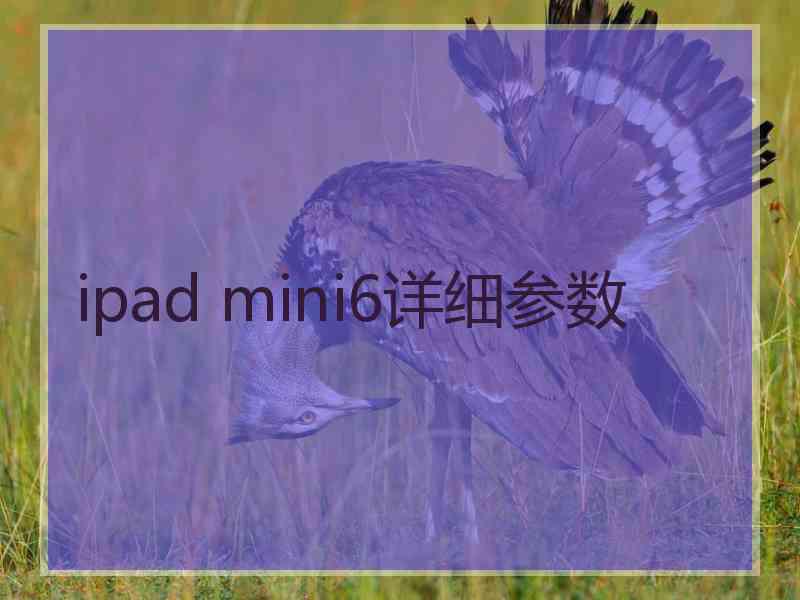 ipad mini6详细参数