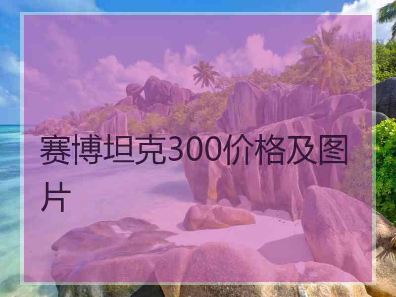 赛博坦克300价格及图片