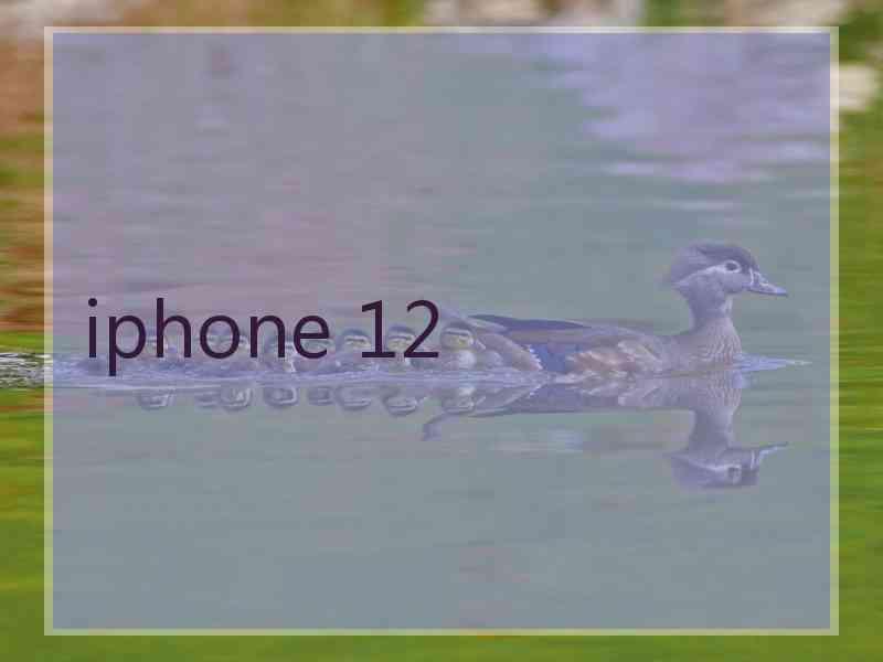 iphone 12