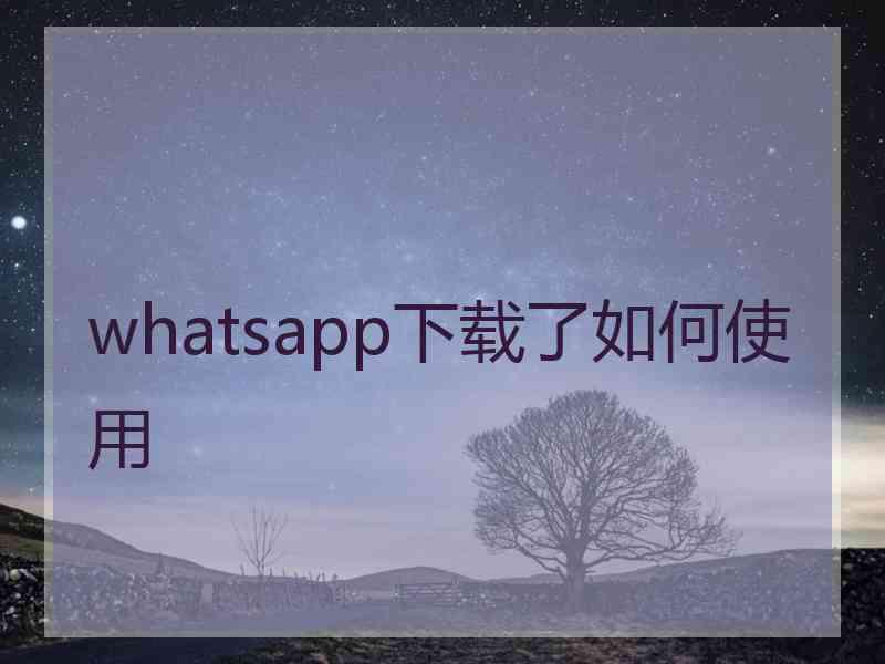 whatsapp下载了如何使用