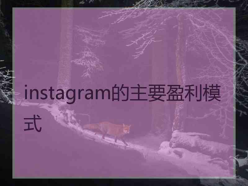 instagram的主要盈利模式