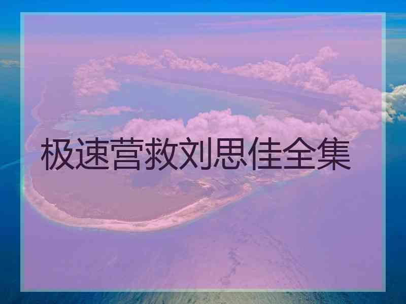 极速营救刘思佳全集