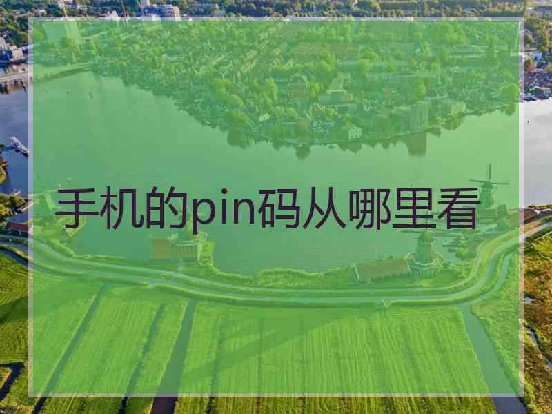 手机的pin码从哪里看