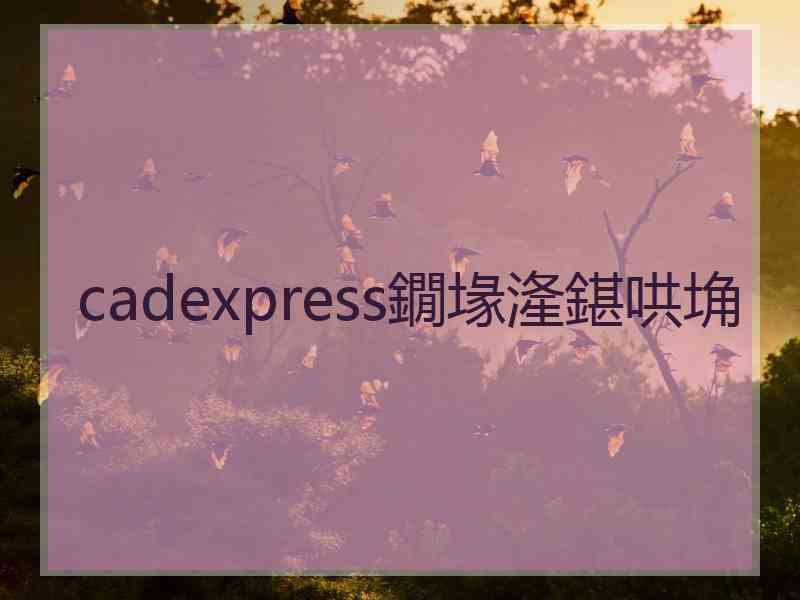 cadexpress鐗堟湰鍖哄埆