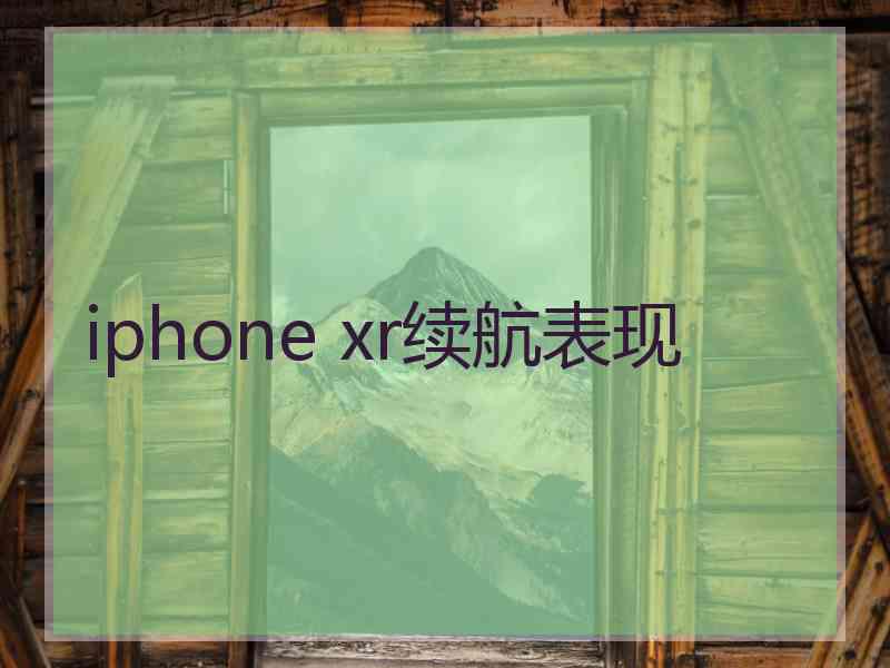 iphone xr续航表现