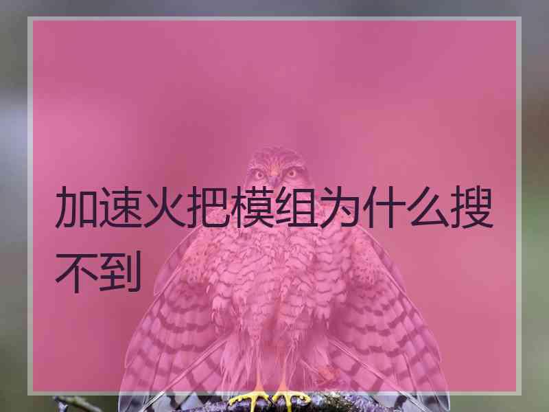 加速火把模组为什么搜不到