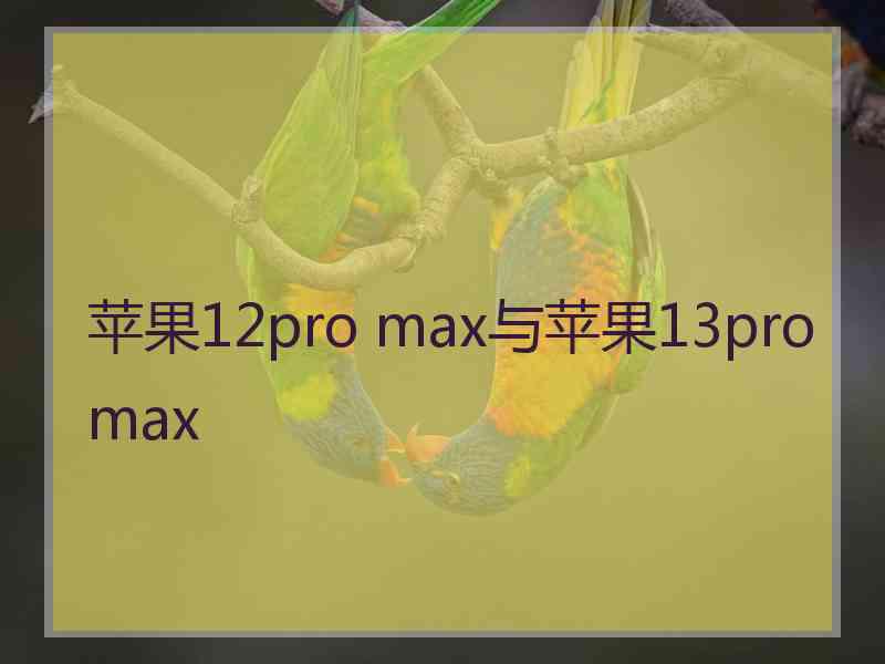 苹果12pro max与苹果13promax