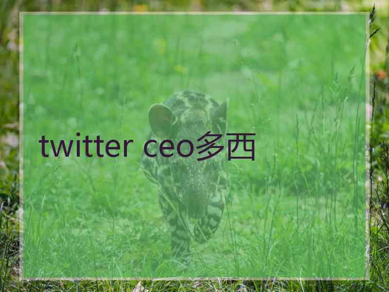 twitter ceo多西