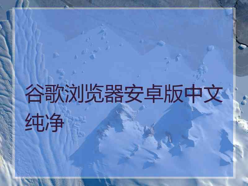 谷歌浏览器安卓版中文纯净