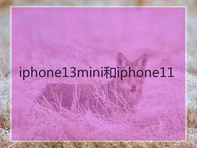 iphone13mini和iphone11