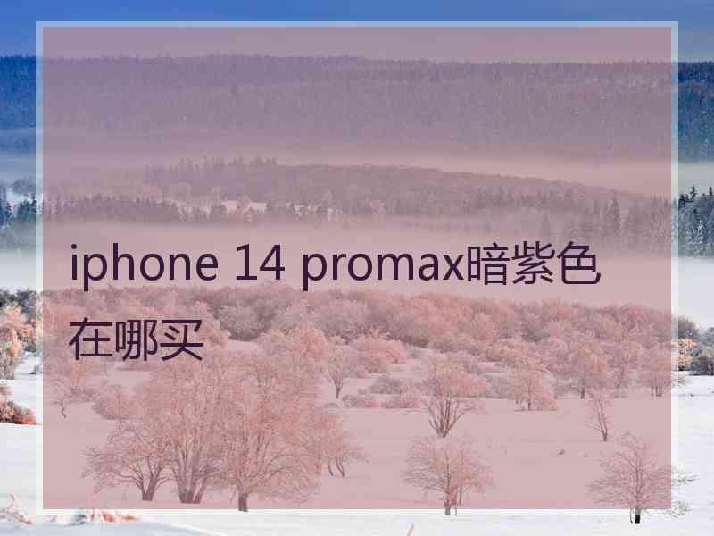 iphone 14 promax暗紫色在哪买