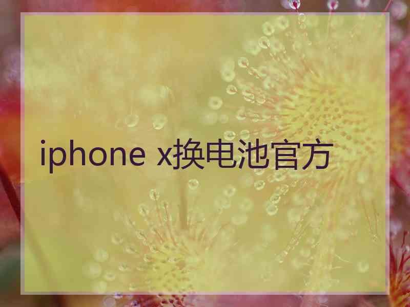 iphone x换电池官方