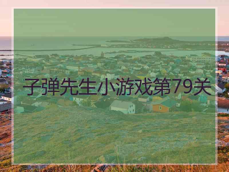 子弹先生小游戏第79关