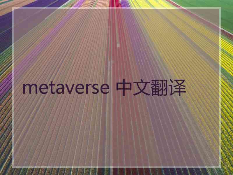 metaverse 中文翻译