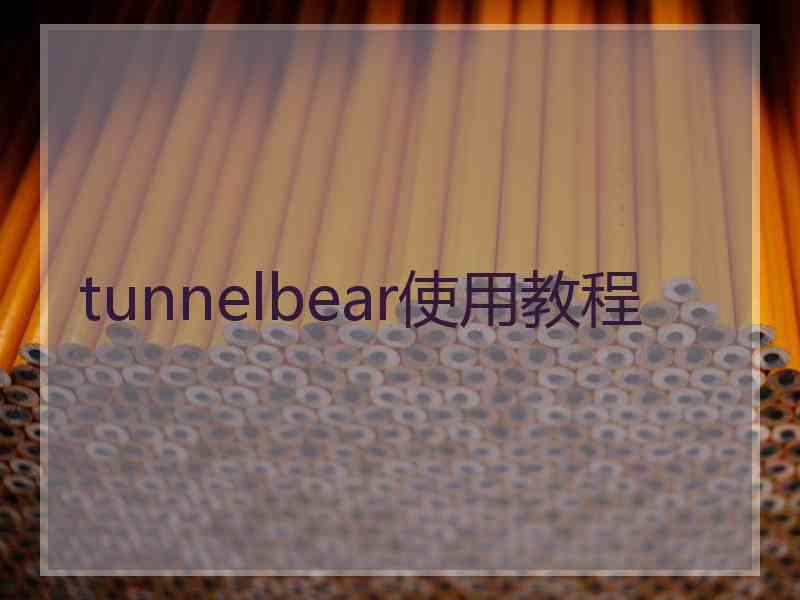 tunnelbear使用教程