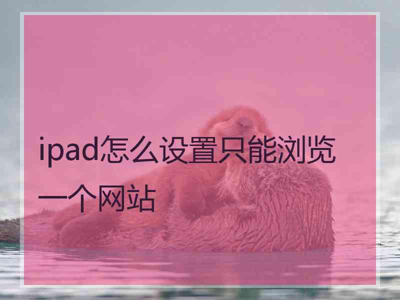 ipad怎么设置只能浏览一个网站