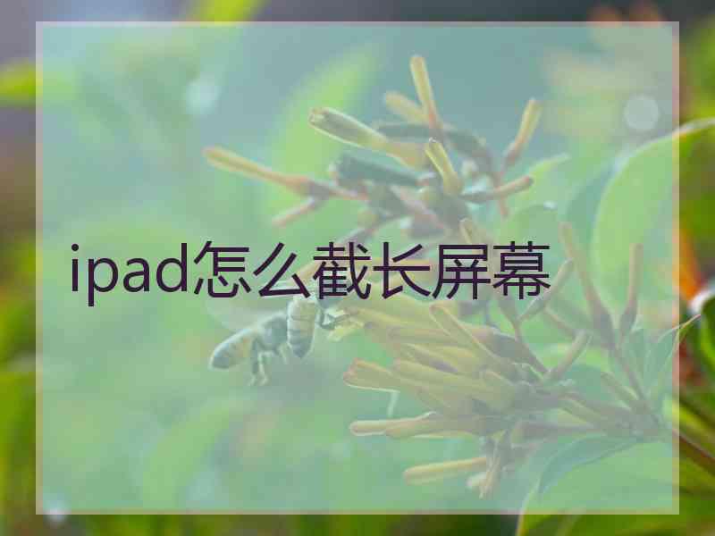 ipad怎么截长屏幕