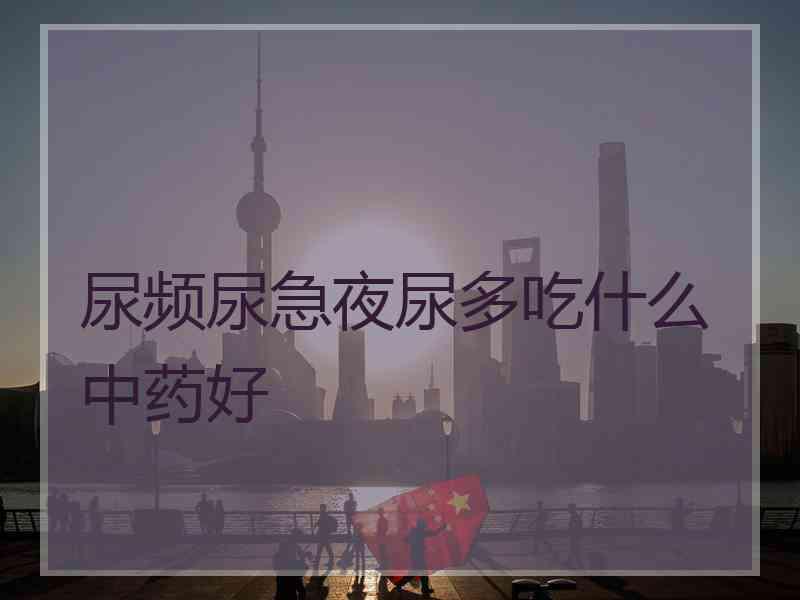 尿频尿急夜尿多吃什么中药好