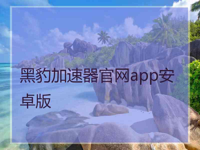 黑豹加速器官网app安卓版