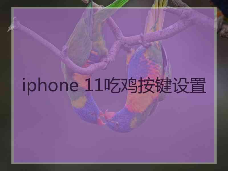 iphone 11吃鸡按键设置