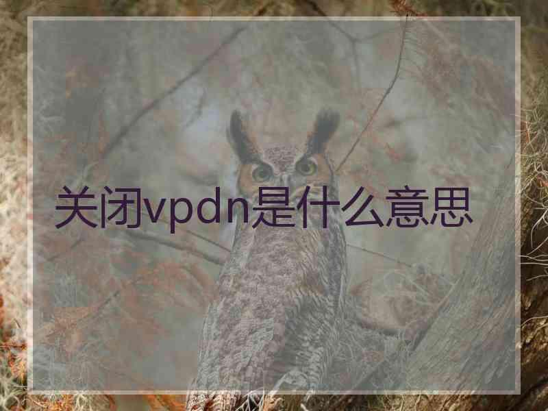 关闭vpdn是什么意思