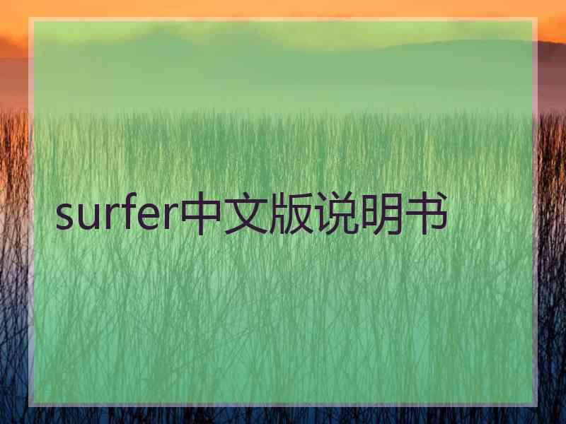 surfer中文版说明书