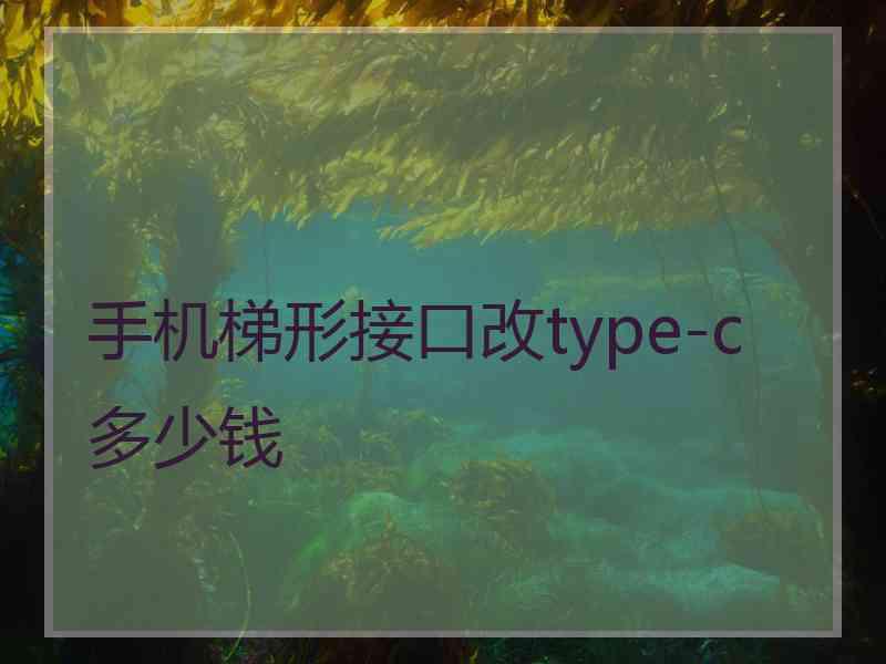 手机梯形接口改type-c多少钱