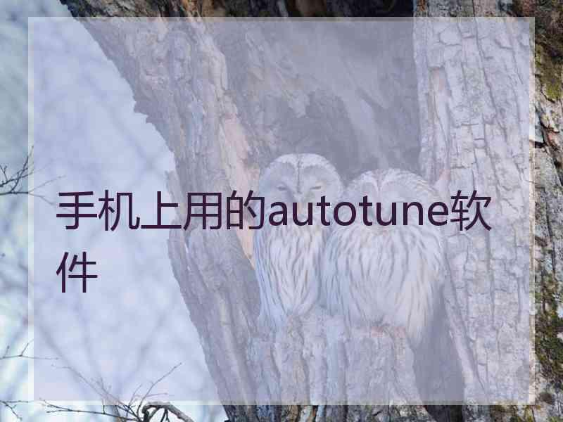 手机上用的autotune软件