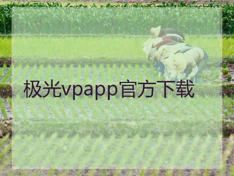 极光vpapp官方下载