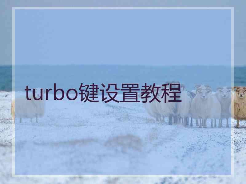 turbo键设置教程