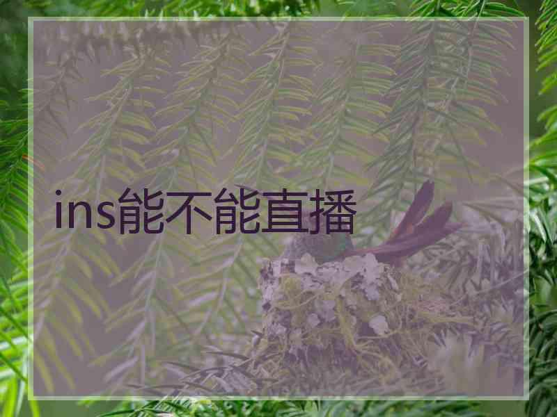 ins能不能直播