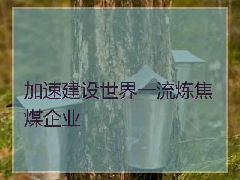 加速建设世界一流炼焦煤企业