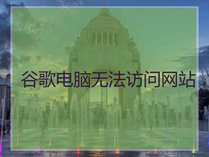 谷歌电脑无法访问网站