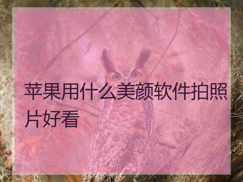 苹果用什么美颜软件拍照片好看