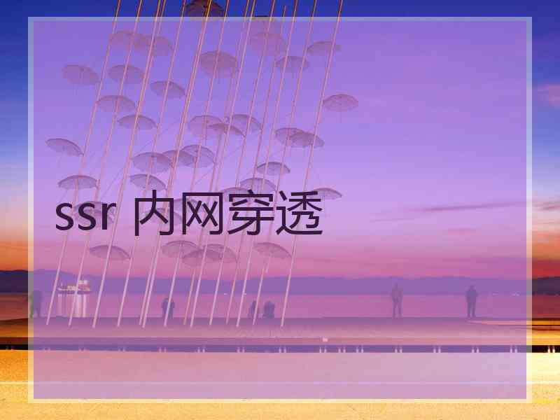 ssr 内网穿透