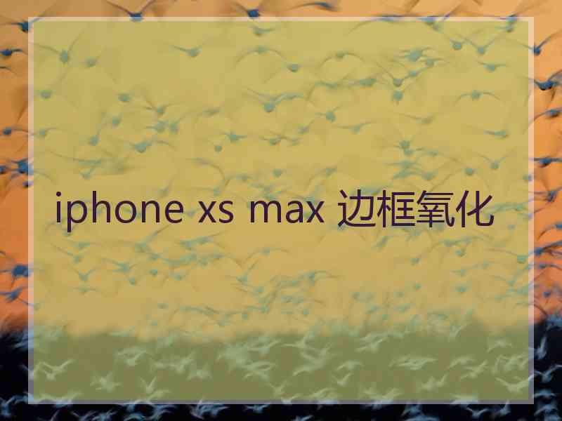 iphone xs max 边框氧化