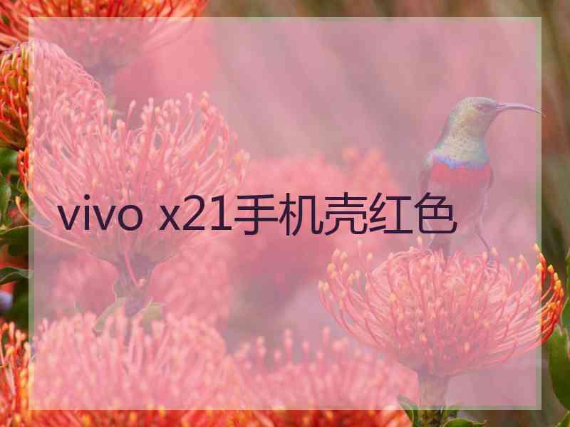 vivo x21手机壳红色