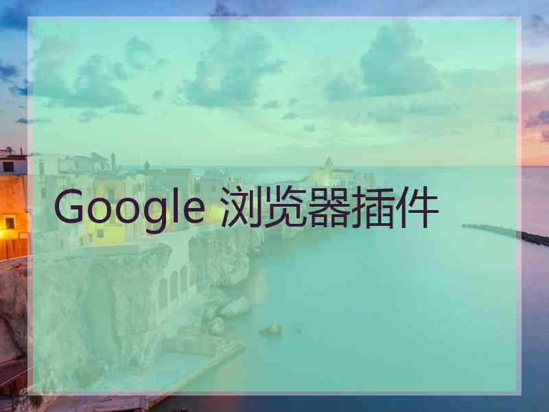 Google 浏览器插件