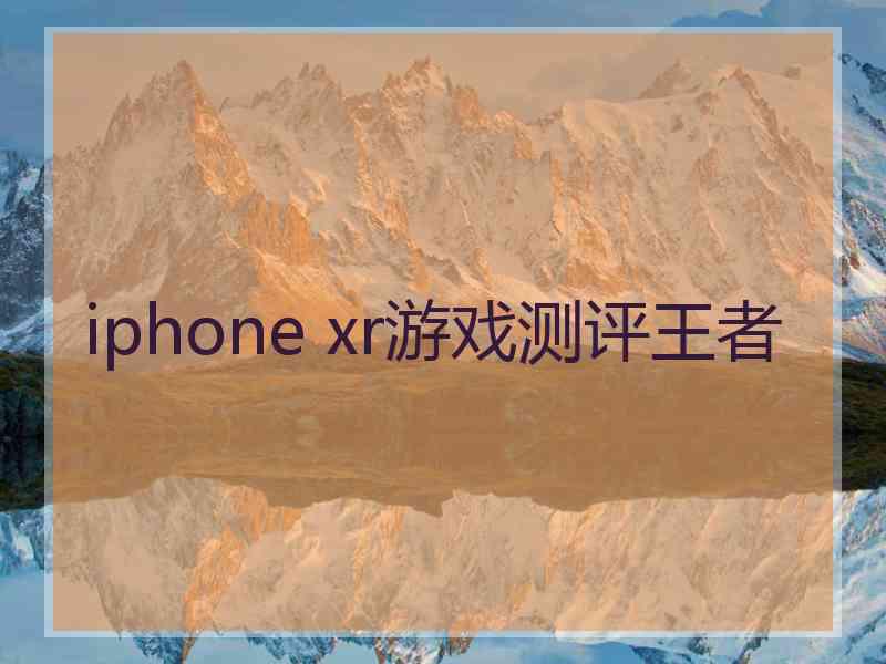 iphone xr游戏测评王者