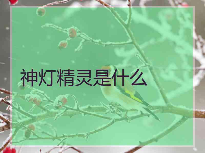 神灯精灵是什么