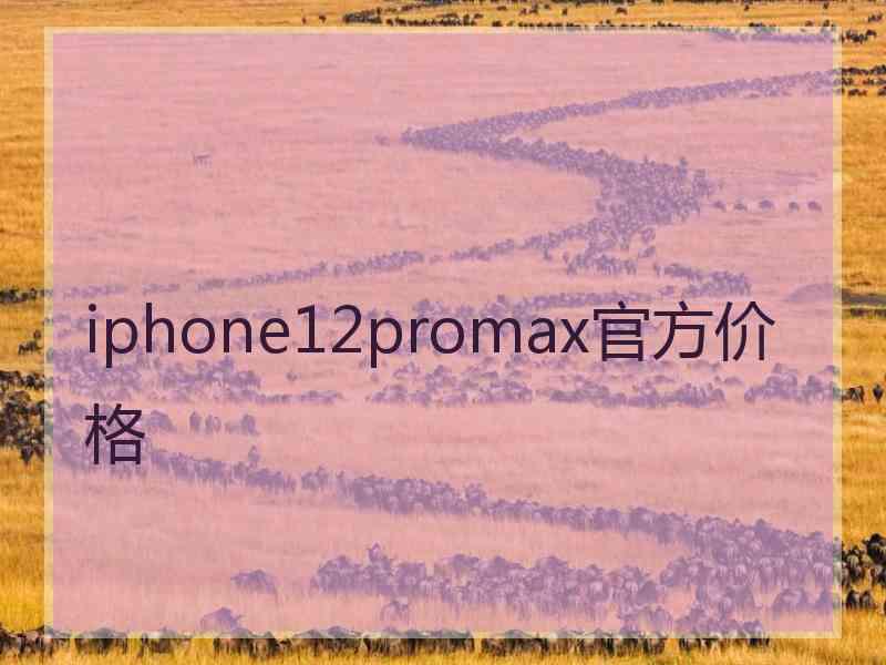 iphone12promax官方价格