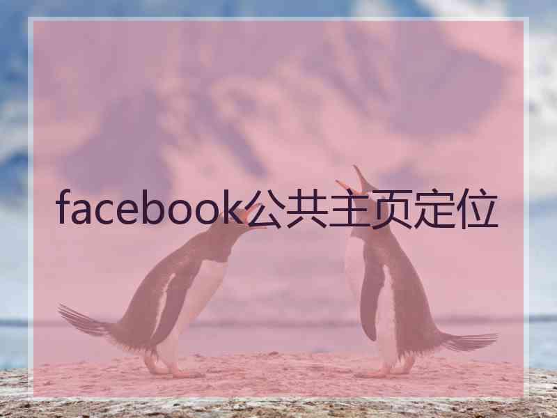 facebook公共主页定位