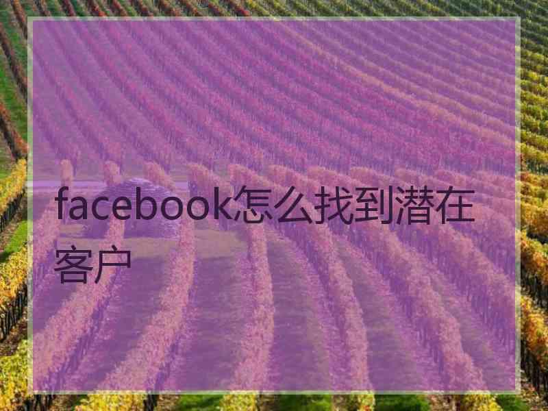 facebook怎么找到潜在客户